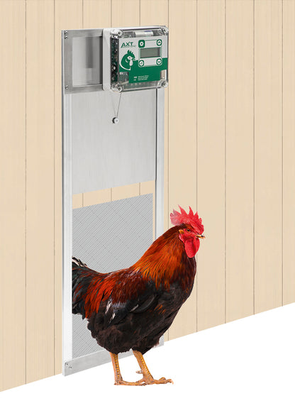 AXT VSE-Kompakt – Hühnerstallschieber mit fertig montierter Klappensteuerung, mit Huhn am Hühnerstall