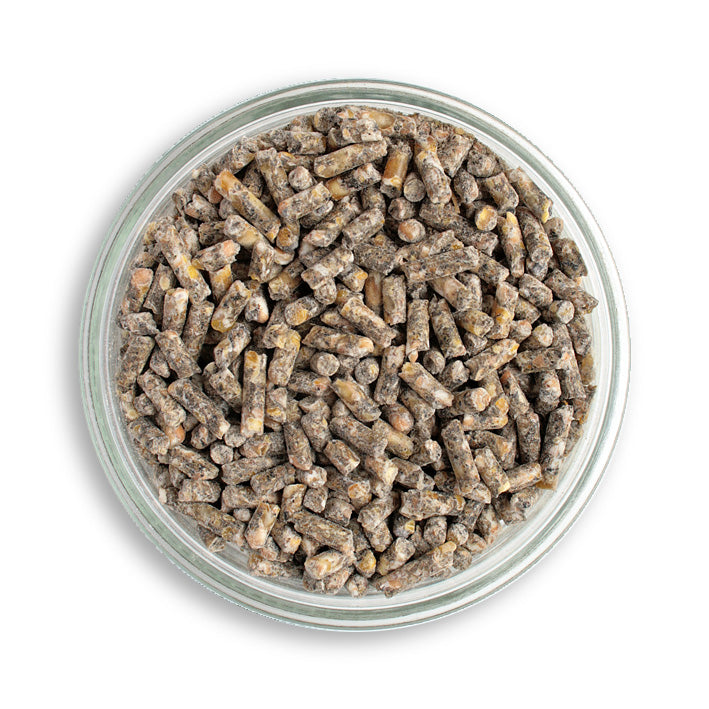 Bio-Hühnerfutter und Wachtelfutter Pellets in der Petrischale 