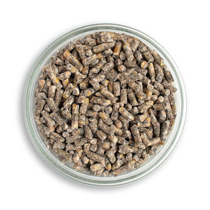 Bio-Hühnerfutter und Wachtelfutter Pellets in der Petrischale 